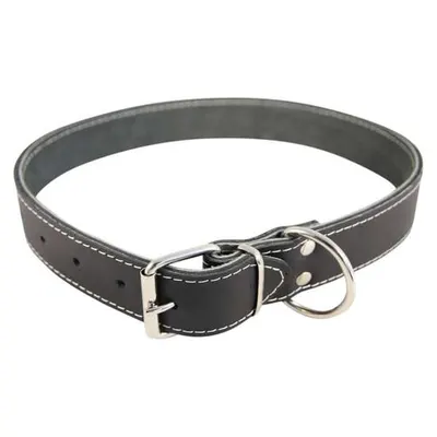 Zgarda din piele pentru caini Nr. 6 Petro Neagra 4 x 75 cm