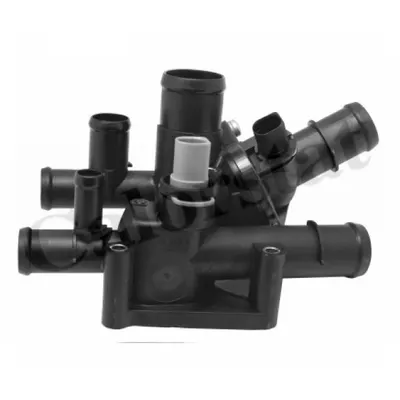 Termostat, lichid racire CALORSTAT by Vernet TE6975.105J