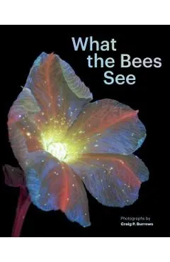 What the Bees See: A Honeybee's Eye View of the World