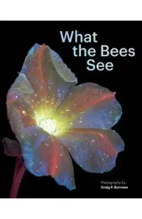 What the Bees See: A Honeybee's Eye View of the World