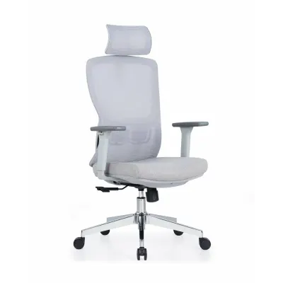 Scaun de birou ergonomic LumaSeat ,suport lombar reglabil ,culoare gri ,dimensiuni 680*680*1140-1235 mm