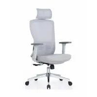 Scaun de birou ergonomic LumaSeat ,suport lombar reglabil ,culoare gri ,dimensiuni 680*680*1140-1235 mm