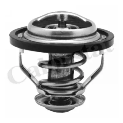 Termostat, lichid racire CALORSTAT by Vernet TH5130.83J