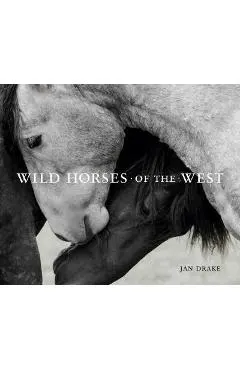 Wild Horses of the West