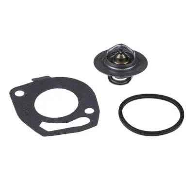 Termostat lichid racire potrivit JEEP CHEROKEE, WRANGLER II 2.4 09.01-01.08