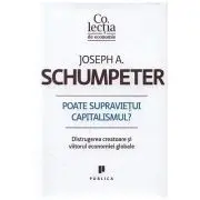 Poate supravietui capitalismul? Distrugerea creatoare si viitorul economiei globale