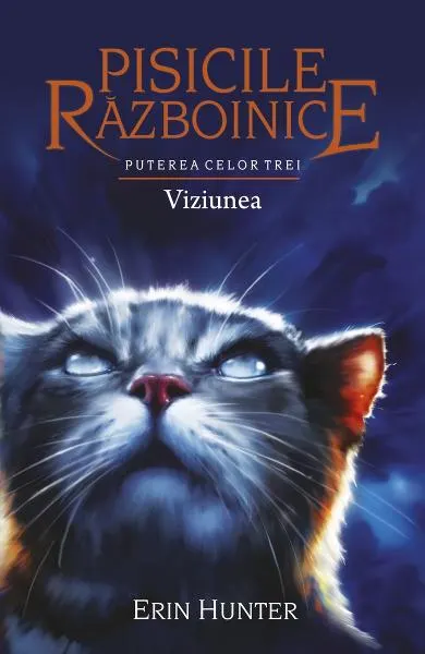Pisicile razboinice (vol. 13): Puterea celor trei. Viziunea