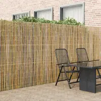 vidaXL Gard din bambus 500 x 180 cm Bambus natural
