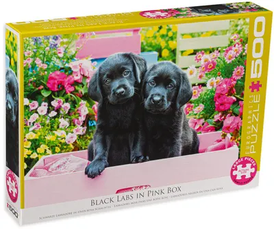 Puzzle Eurographics din 500 XXL de piese - Black Labs in Pink Box