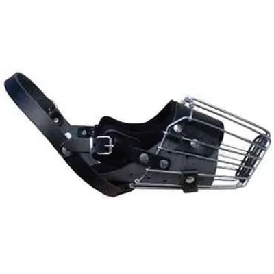 Dingo Botnita Metal Pitbull 4159