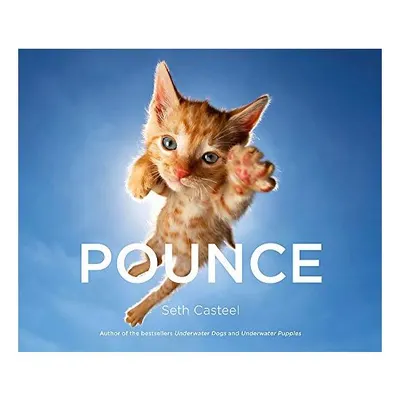 Pounce