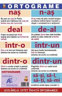 Ortograme. Scolarelul istet invata ortogramele