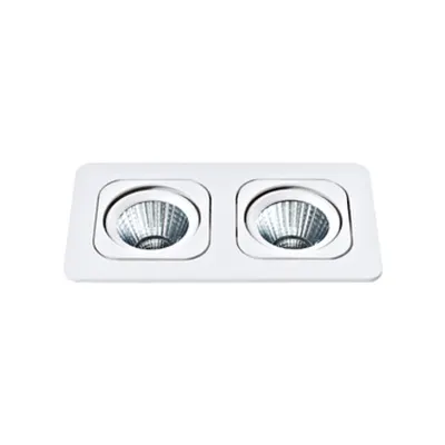 Vascello P2 swivelling 2 x 7W 2700K white IP20