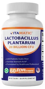 Lactobacillus Plantarum, 60 capsule, Vitamatic
