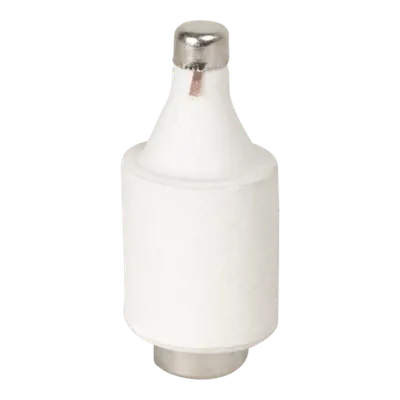Patron Fuzibil 10A