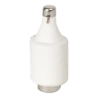 Patron Fuzibil 10A