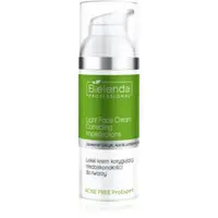 Bielenda Professional Acne Free ProExpert crema corectoare pentru pielea problematică și grasă