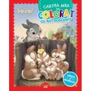 Disney Iepurasi. Cartea mea de colorat cu autocolante. Lipeste si coloreaza!