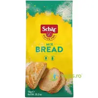 Faina pentru Paine fara Gluten - Bread Mix (Mix B) 1000g