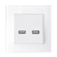 Double Usb Socket Glass Frame White