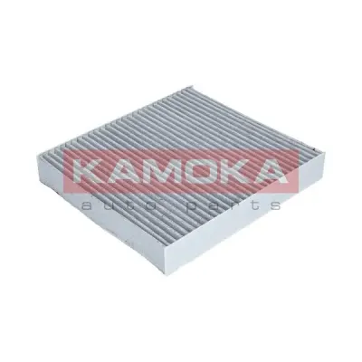 Filtru, aer habitaclu KAMOKA F503801