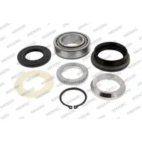 Set rulment roata MOOG NI-WB-12765