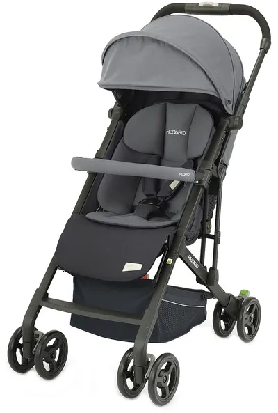 Carucior pentru copii Recaro Easylife Elite 2 - Gri