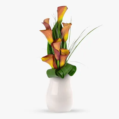 Buchet de 11 cale portocalii