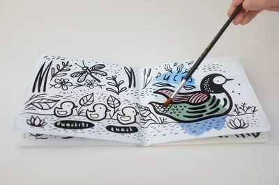 Colour Me: Who's in the Pond?