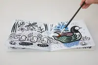 Colour Me: Who's in the Pond?