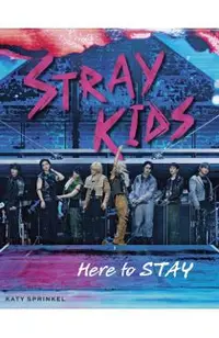Stray Kids: Here to Stay