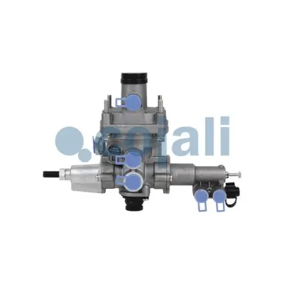 Releu, Alb Cojali 2220423