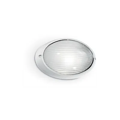Aplica de exterior Mike mica, 1 bec, dulie E27, L:215 mm, H:195 mm, Alb
