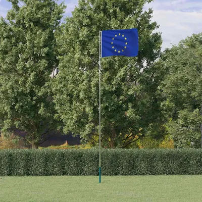 vidaXL Steag Europa și stâlp din aluminiu, 5,5 m