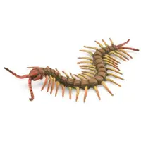 Figurina pictata manual Miriapod