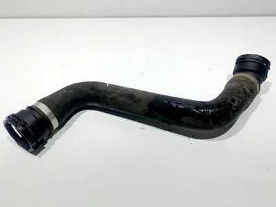 Furtun apa 7789742 BMW Seria 5 LCI (2007-2010)[e60] 3.0d XD M57 306d3 235 cp