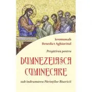 Pregatirea pentru Dumnezeiasca cuminecare sub indrumarea Parintilor Bisericii