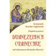 Pregatirea pentru Dumnezeiasca cuminecare sub indrumarea Parintilor Bisericii