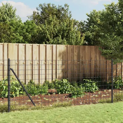 vidaXL Gard plasă de sârmă, antracit, 0,8x25 m, oțel galvanizat