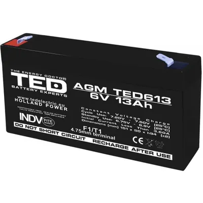 Acumulator 6V 13Ah F1, AGM VRLA, TED Electric TED003010