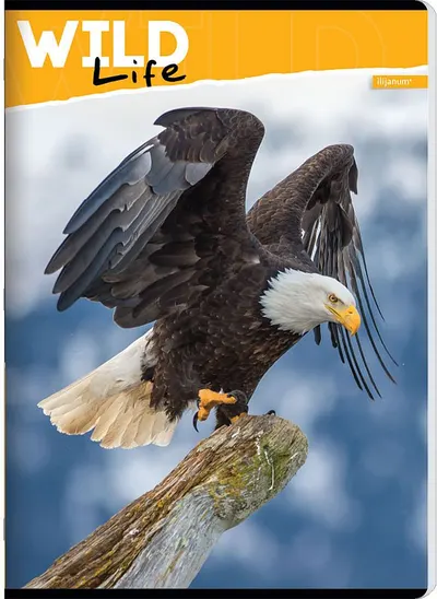 Caiet Ilijanum Wild Life - A5, 52 foi, sortiment