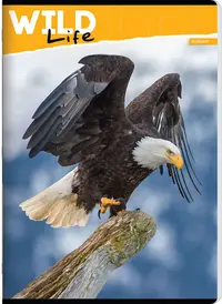 Caiet Ilijanum Wild Life - A5, 52 foi, sortiment