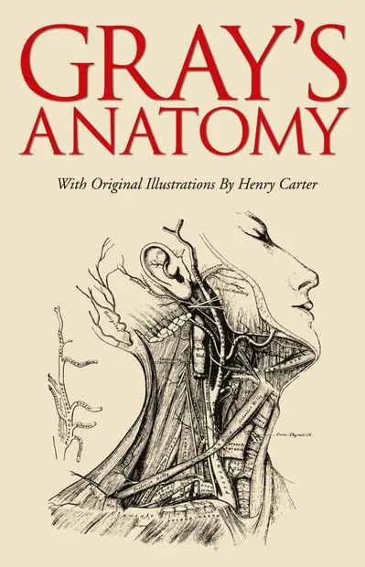 Grays Anatomy (Slipcase edition)