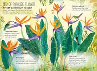 Big Book of Blooms