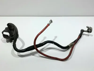 Borna baterie plus 1K0971228M Volkswagen Golf 5 Plus (2004-2008) 2.0 tdi CBAB