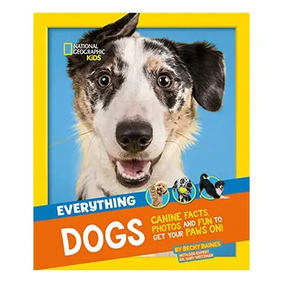 Everything Dogs