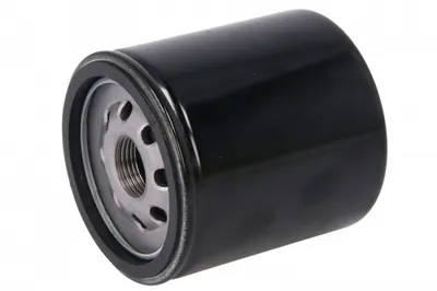 Filtru Ulei Harley Davidson Vrsc, Vrsca, Vrscaw, Vrscb, Vrscd, Vrscdx, Vrscf, Vrscr, Vrscse, Vrscx 1100 1130 1250 2002