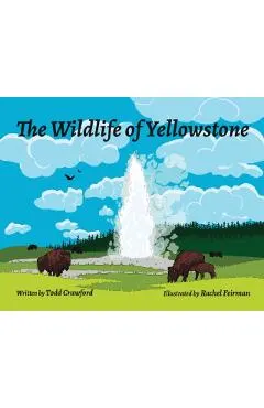 The Wildlife Of Yellowstone