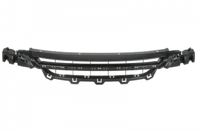 Grila bara fata mijloc BMW Seria 1 (F20), 1 (F21) intre 2010-2015