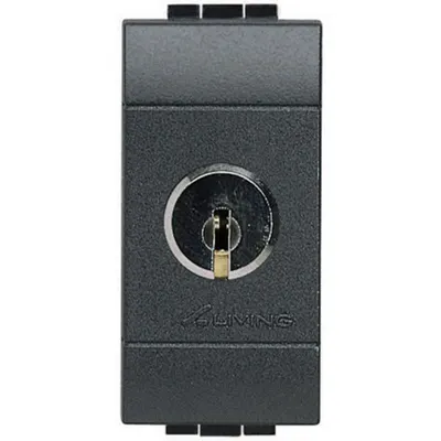 Intrerupator cu cheie 16AX-250V - 1 modul LiVing Light antracit